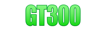 Logo GT300